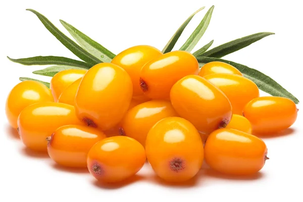 Pile of sea buckthorn berries with leaves, clipping paths — Stock Photo, Image