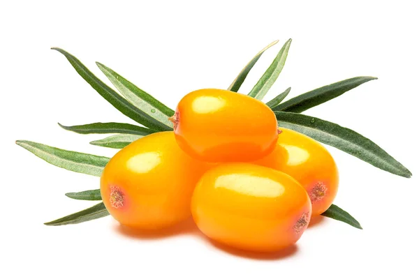 Four sea buckthorn berries, clipping paths — Stock Photo, Image