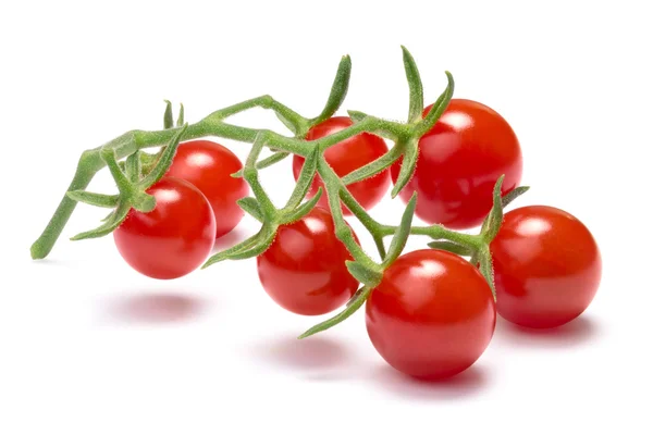 Currant sweet pea tomatoes, paths — Stock Photo, Image