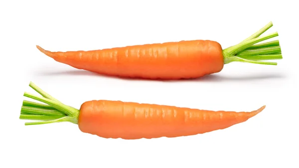 Two carrots, clipping paths — Stock Photo, Image