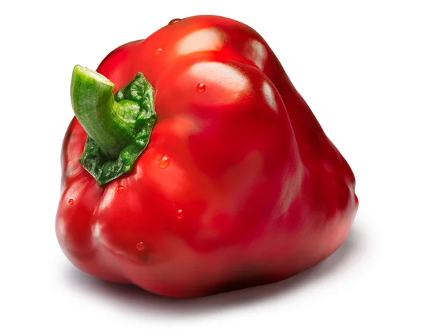 Sweet bell pepper (Gogoshar), jalur — Stok Foto