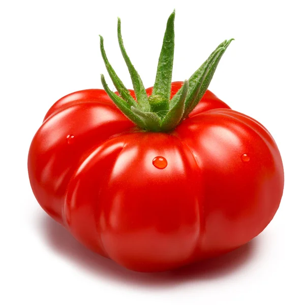 Tomate héritière (togolfique), sentiers — Photo