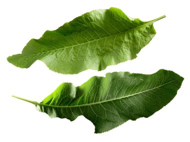 Turp yaprakları, kırpma yolları