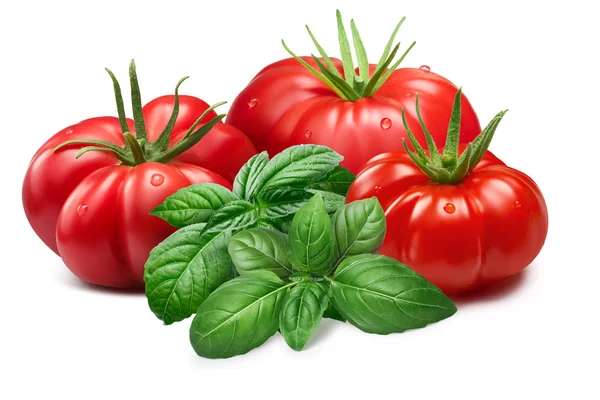 Ribbed tomatoes with Basil, paths — Stock Photo, Image