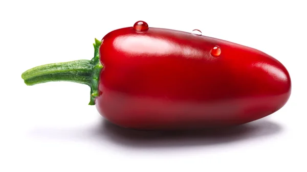 Ripening red Jalapeno, paths — Stock Photo, Image