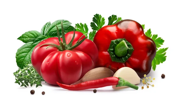 Tomato and bell pepper for canning, herbs, garlic,  paths — Stock Photo, Image