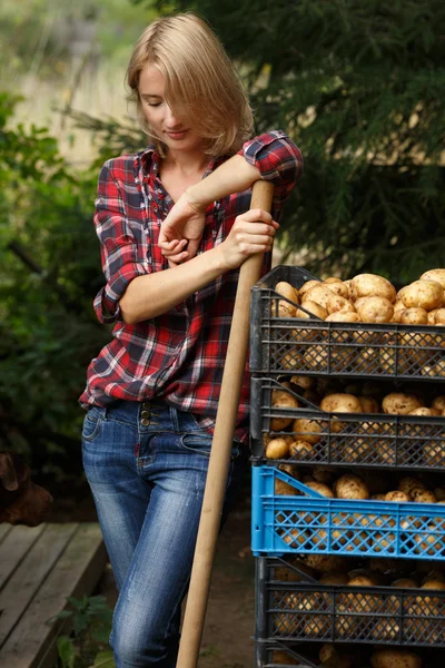 Femme penchée sur des boîtes de pommes de terre — Photo