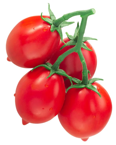 Pomidory Piennolo Del Vesuvio Winorośli Włoskie Pamiątki Rodowe Izolowane — Zdjęcie stockowe