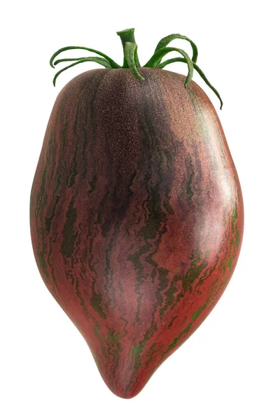 Rebel Starfighter Prime Heirloom Tomato Solanum Lycopersicum Fruit Isolated — Stock Photo, Image