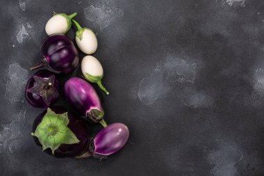 Koyu gri arka planda farklı şekil ve renkte patlıcanlar veya patlıcanlar, üst görünüm, boşluk kopyala