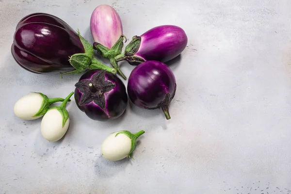 Aubergines Atau Terong Dari Berbagai Bentuk Dan Warna Pada Latar — Stok Foto