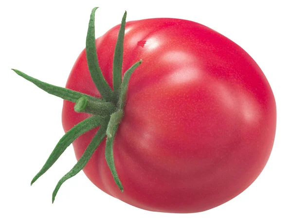 1884 Erbstück Tomate Solanum Lycopersicum Fruit Isoliert — Stockfoto