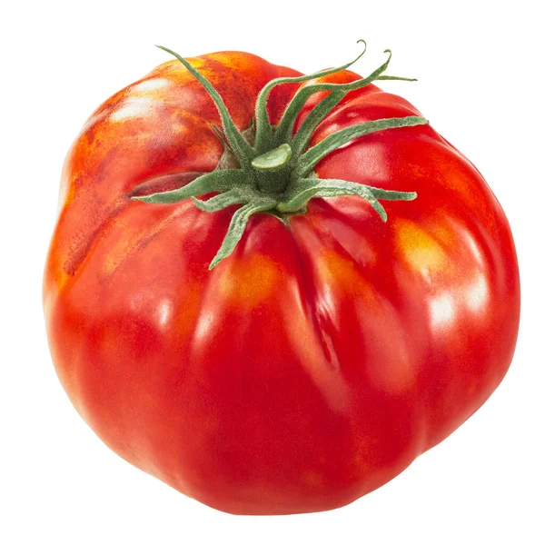 Große Tomate Solanum Lycopersicum Frucht Felgen Oder Rom Sorte Isoliert — Stockfoto