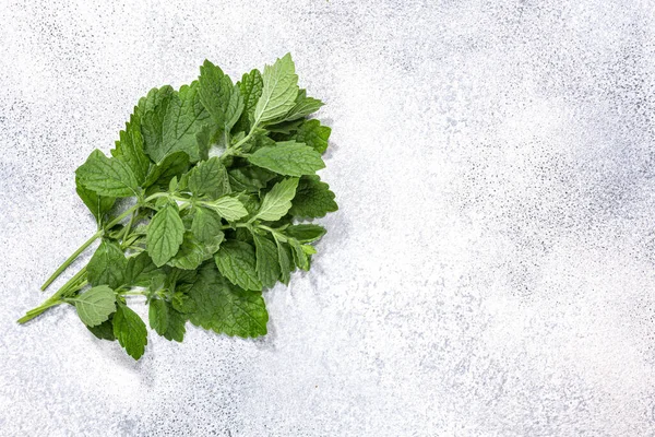 Citronmeliss Officinalis Ovanpå Grå Strukturerad Bakgrund Kopieringsutrymme Ovanifrån — Stockfoto