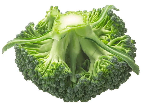 Brokkoli Blütenkopf Brassica Oleracea Var Kursiv Mit Blättern Isoliert Stockbild