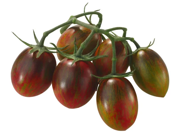 Brads Atomare Trauben Erbstück Tomaten Weinstock Trauben Isoliert Solanum Lycopersicum — Stockfoto