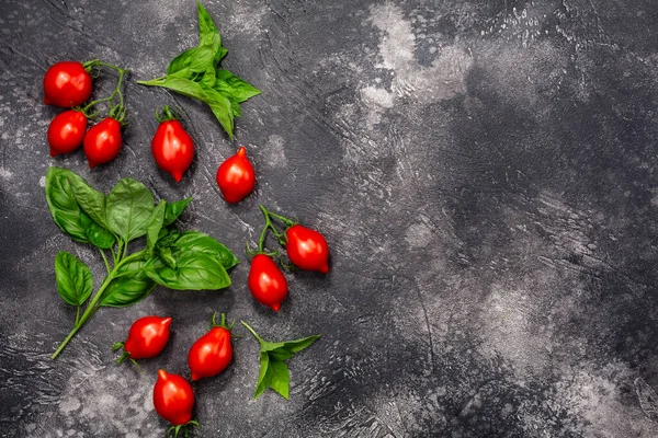 토마토와 바질은 어두운 — 스톡 사진