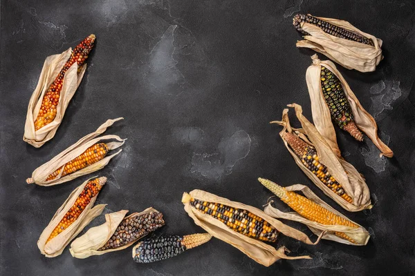 Coberturas Maíz Multicolor Reliquia Zea Mays Sobre Fondo Texturizado Negro Fotos de stock