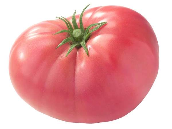 Hypothekenheber Erbstück Tomate Solanum Lycopersicum Frucht Groß Gerippt Rosa Isoliert — Stockfoto