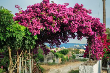 Korfu Seaport için göster