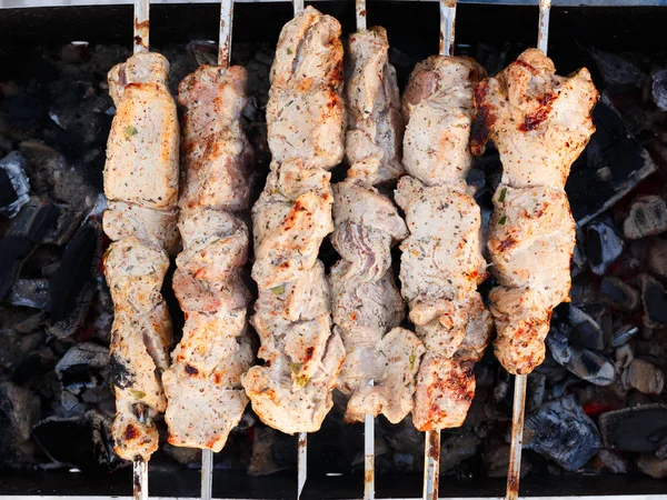 Shish kebab (shashlyk ) — Foto Stock
