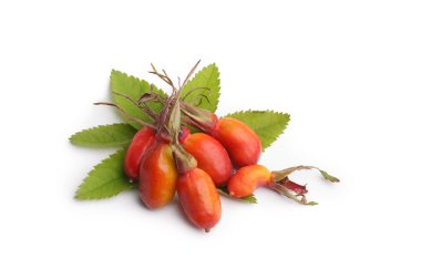 Rose HIPS