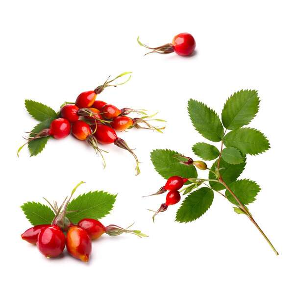 Rose hips isolated set