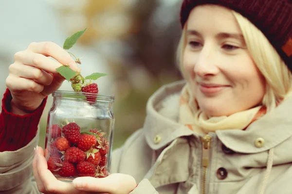 Cueillette des framboises — Photo