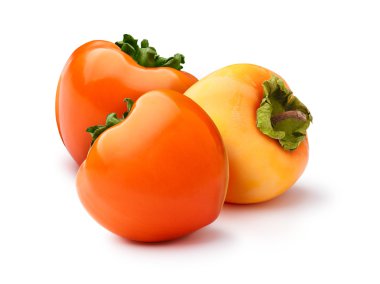 Group of persimmons isolated clipart
