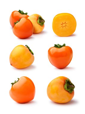 Persimmons isolated set clipart