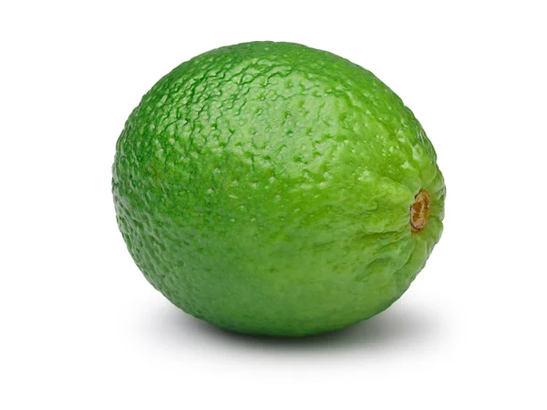 Hela bladlösa lime isolerade — Stockfoto