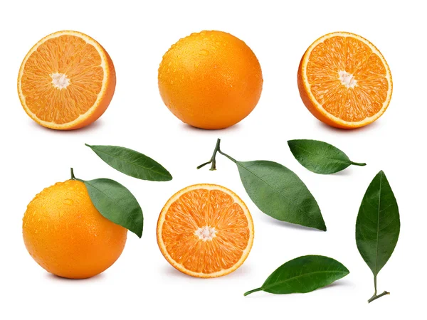 Uppsättning av apelsiner — Stockfoto