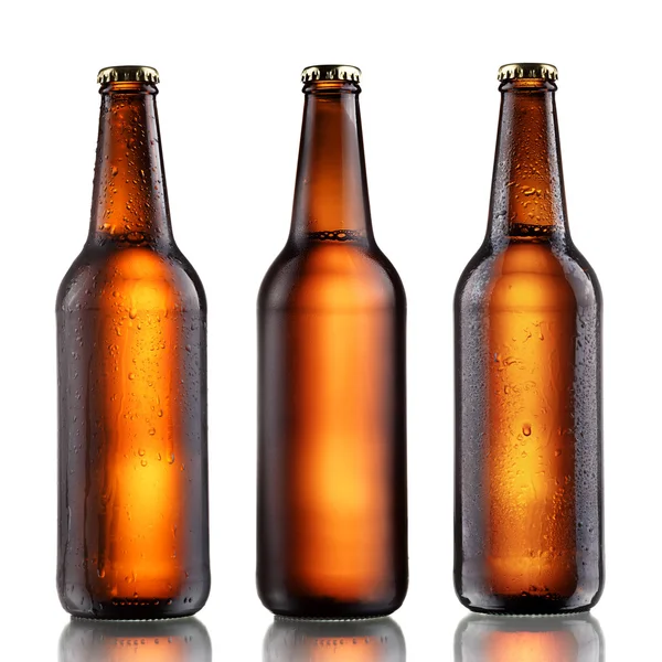 Full beer bottles set — Stock Photo, Image