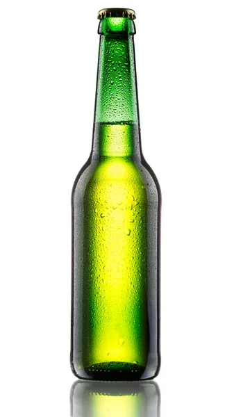 Grüne Flasche Biene — Stockfoto