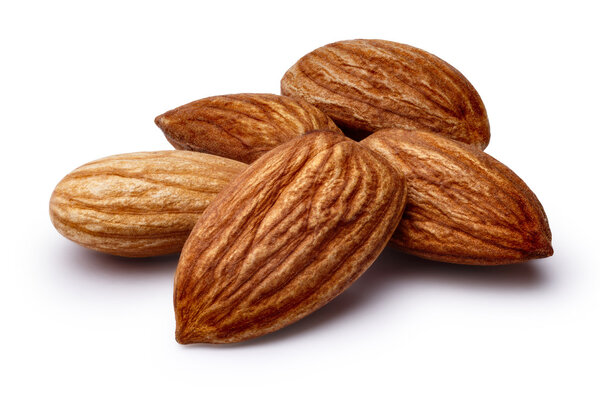 Shelled almonds isolated