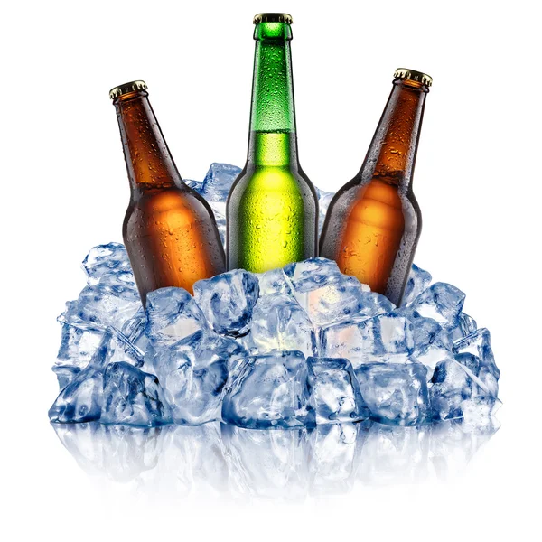 Three cooling beer bottles — Stock Photo, Image