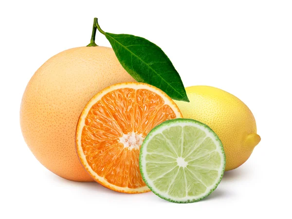 Citrus fruits with clipping paths — Stock Photo, Image