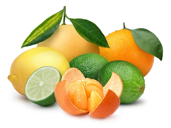 Vários citrinos — Fotografia de Stock