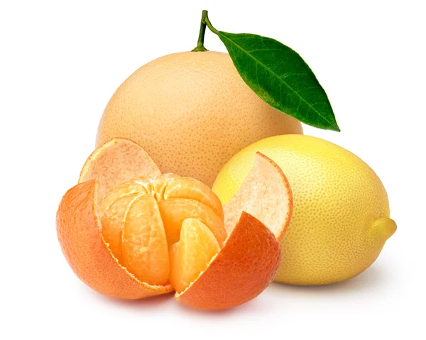 Grapefruit, clementine,lemon — Stock Photo, Image