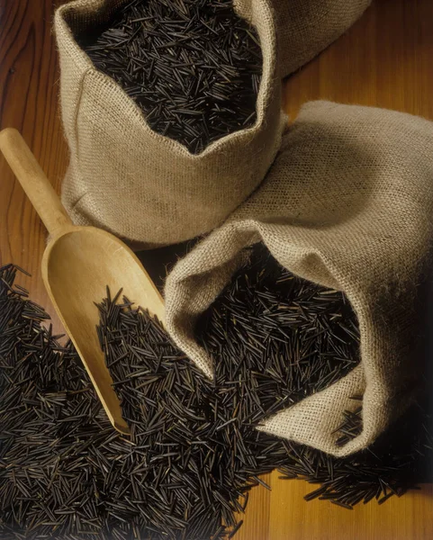 Yerli, yerli, hasat edilmiş çiğ Kanada pirinci çuval içinde ahşap kepçeyle.