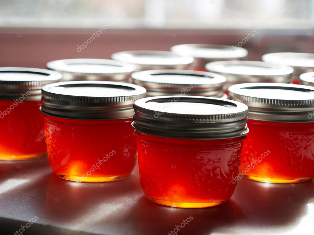 Finished red pepper jelly canning preserving filled jars in sunshine