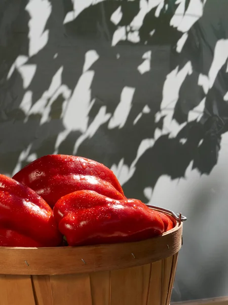 Bahçe güneşinde bir bankta tatlı kırmızı biber hasadı 