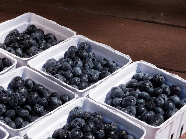 Küçük çiftçi sepetleri hazır. 550 ml taze toplanmış yaban mersini. Gün ışığında bahçe masasında.