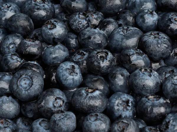 Taze böğürtlen suyu püskürtülmüş. 