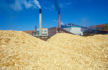 Wood chip production, virgin fiber, being blown into piles outdoors to make pulp for paper at a paper mill. clipart