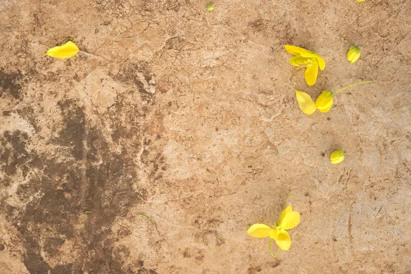 Fallen "golden shower" flower over grunge cement floor full of orange dust and black dirt background — Stock Photo, Image