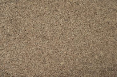 Yaşam boyutu makro çekim Ayak rock fırçalayın