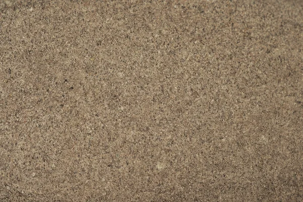 Yaşam boyutu makro çekim Ayak rock fırçalayın