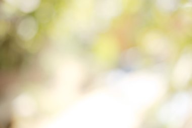 Bulanık arka plan ile bir sürü bokeh ve güçlü mercek parlaması