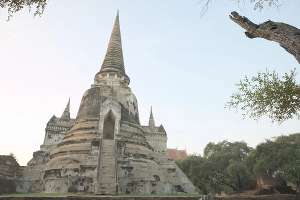 Ancient ruin of Wat Phra Sri Sanphet — Stock Photo, Image